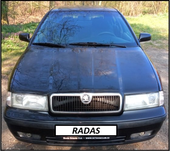 Radas1.jpg.b9e4bd4ef90130e0e12613d0bd57747a.jpg